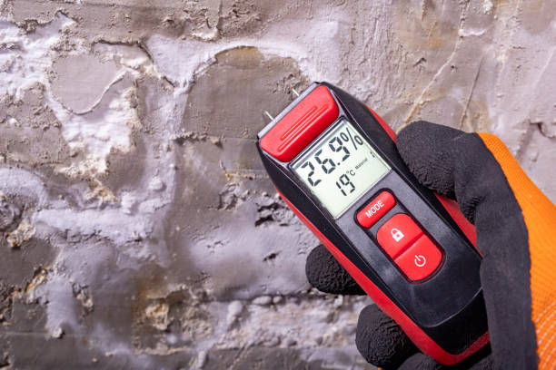 Best Emergency Mold Removal  in Pelham, AL